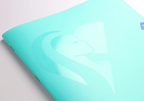 クレールフォンテーヌ ノート 横罫 ミメジス パステル ホチキス留めノート A5 96ページ PPソフトカバー付き アリマート